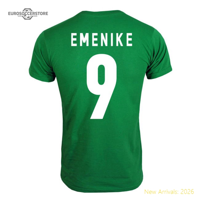 2013 Nigeria CAF Winners T-Shirt (Green) - Emenike 9-Football Shirts Shop