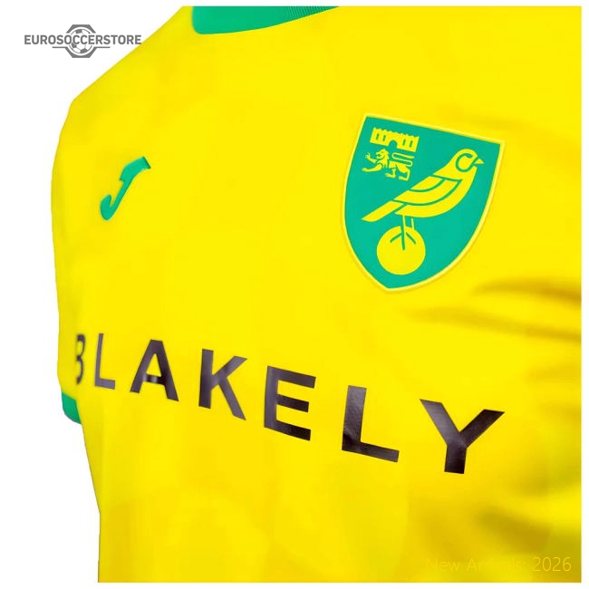 2024-2025 Norwich Home Shirt-Football Shirts Shop