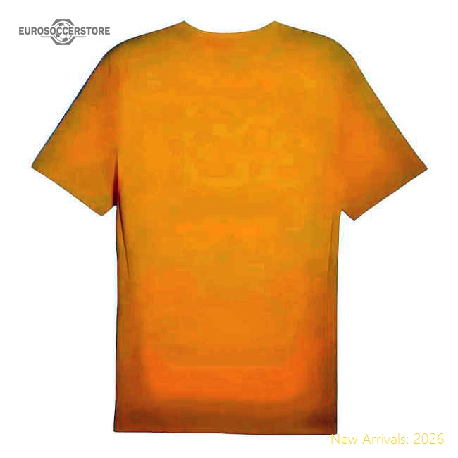 2024-2025 Borussia Dortmund Training Shirt (Yellow)-Football Shirts Shop