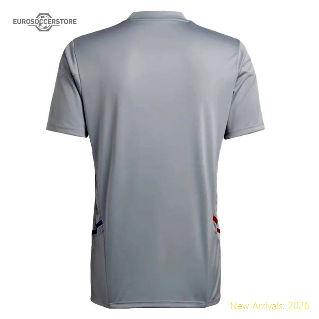 2022-2023 Olympique Lyon Training Jersey (Halo Silver)-Football Shirts Shop
