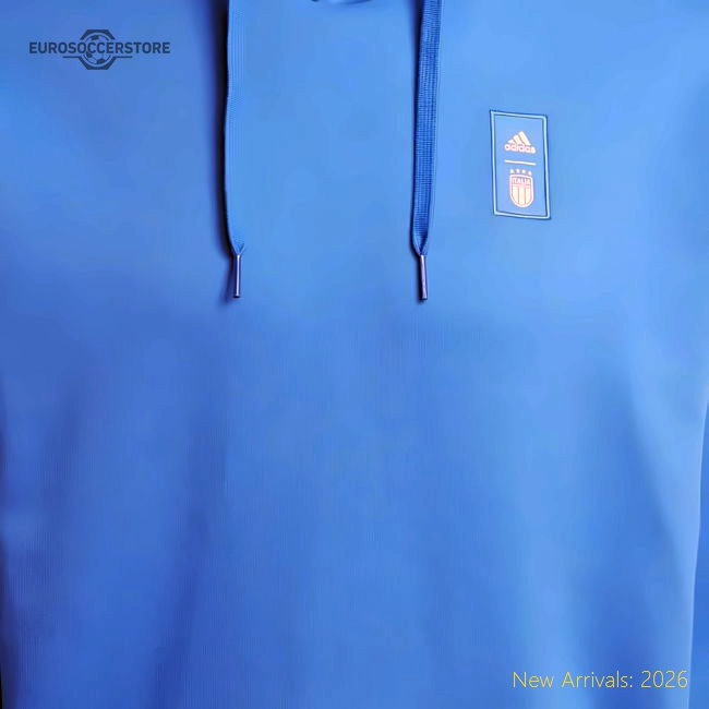 2024-2025 Italy DNA Hoody (Blue)-Football Shirts Shop