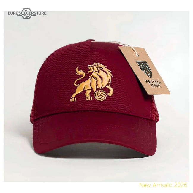The Villan Trucker Cap-Football Shirts Shop