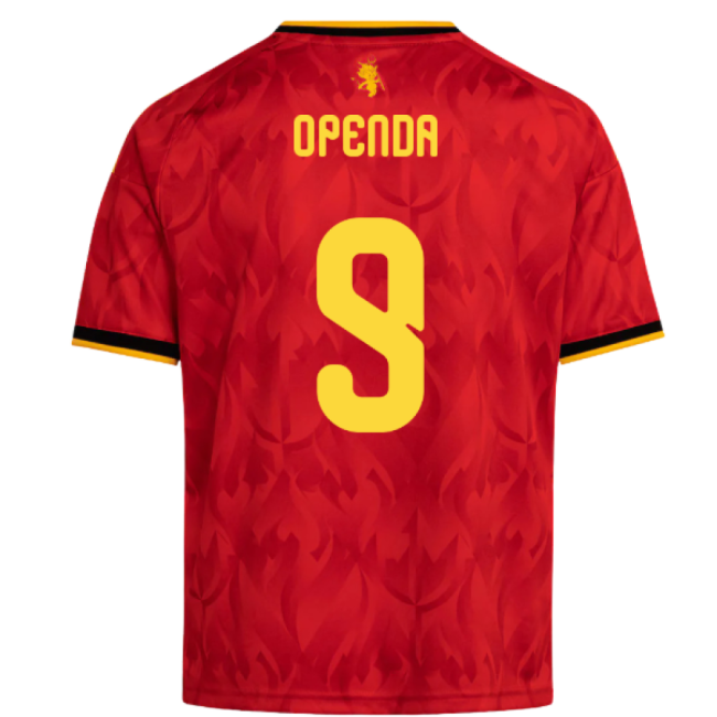 Belgium 2026-2027 Home Match Kit-World Cup Jersey Hub - 2026 National Football Kits Store