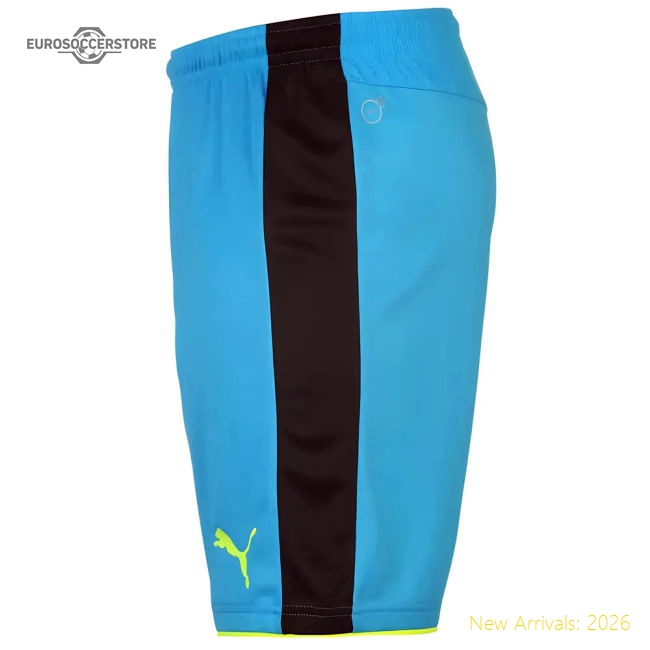 2016-2017 Arsenal Away Goalkeeper Shorts (Kids)-The Soccer Shirt Hub
