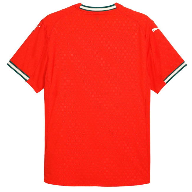 2025-2026 Portugal Home Authentic Jersey-The Soccer Shirt Hub
