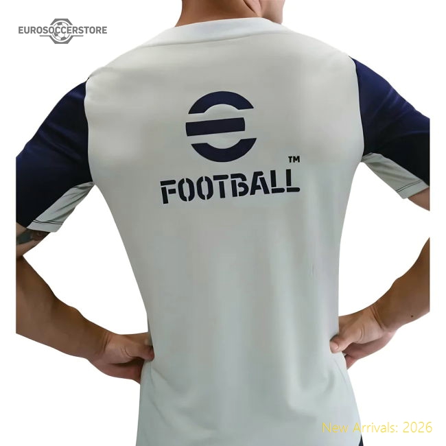 2025-2026 Inter Milan Training Shirt (Grey)-The Soccer Shirt Hub