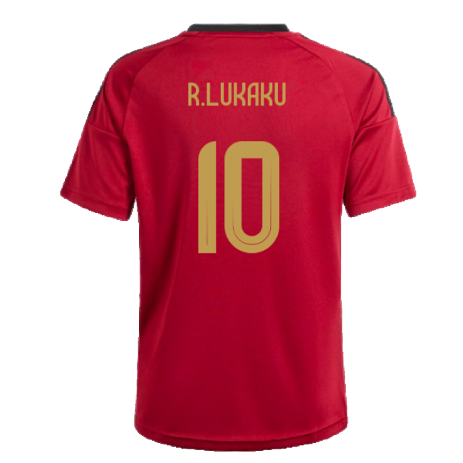 2024-2025 Belgium Home Fan Shirt (Kids) (R.Lukaku 10)-The Soccer Shirt Hub