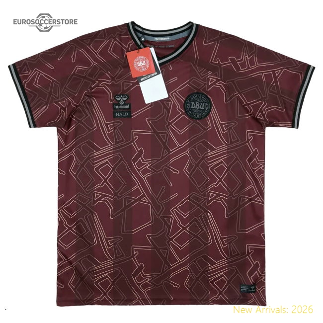 2024-2025 Denmark Special Edition Hummel x Halo Shirt (Kids)-The Soccer Shirt Hub