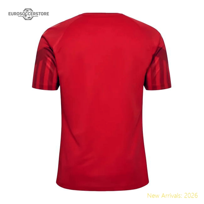 2022-2023 Denmark Home Jersey-The Soccer Shirt Hub