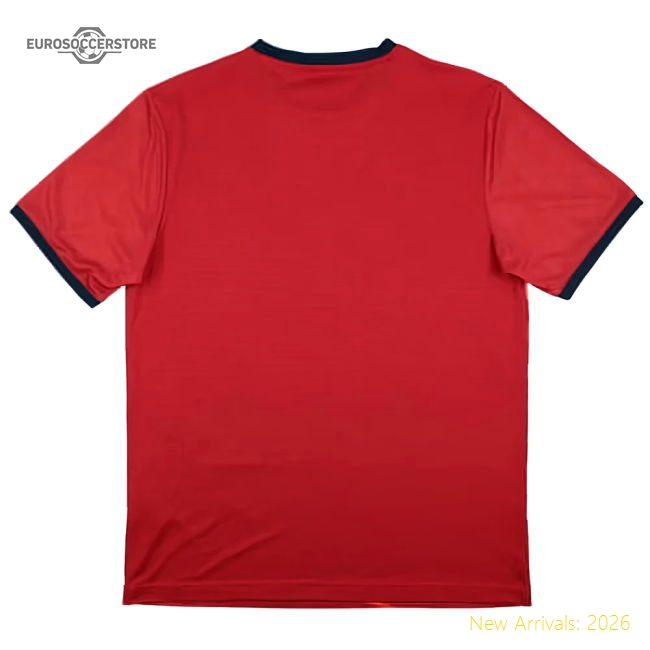 Lille 2016-17 New Balance Training Shirt (M) (Excellent)-The Soccer Shirt Hub