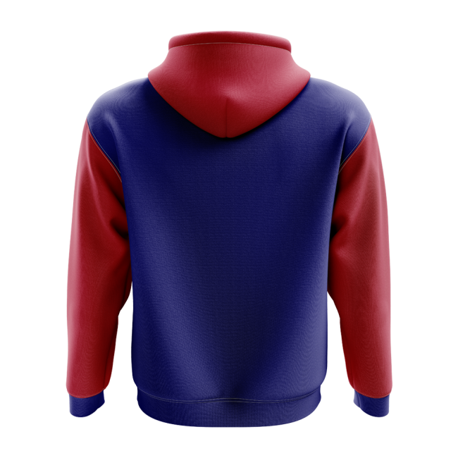 Haiti Concept Country Football Hoody (Navy)-The Soccer Shirt Hub