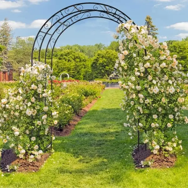 Pérgola de arco de hierro forjado, soporte para plantas trepadoras de patio, decoración para ceremonias de bodas al aire libre — Ideal para la entrada de patios, jardines, parques y porches.