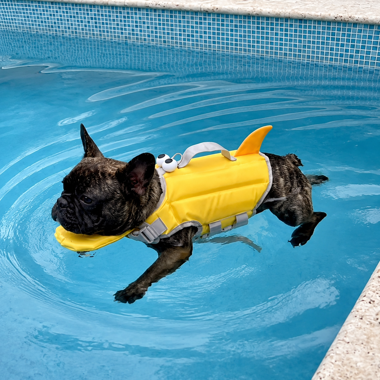 High-Buoyancy Dog Life Jacket with Rescue Handle