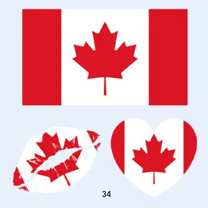 FIFA World Cup 2026 National Flag Temporary Tattoo (Lasts 1 Week)