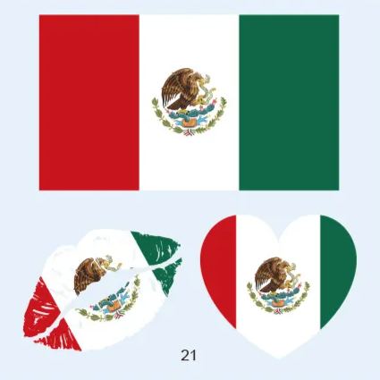 FIFA World Cup 2026 National Flag Temporary Tattoo (Lasts 1 Week)