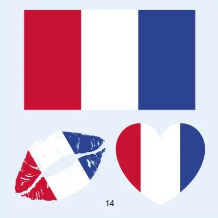 FIFA World Cup 2026 National Flag Temporary Tattoo (Lasts 1 Week)