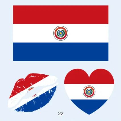 FIFA World Cup 2026 National Flag Temporary Tattoo (Lasts 1 Week)