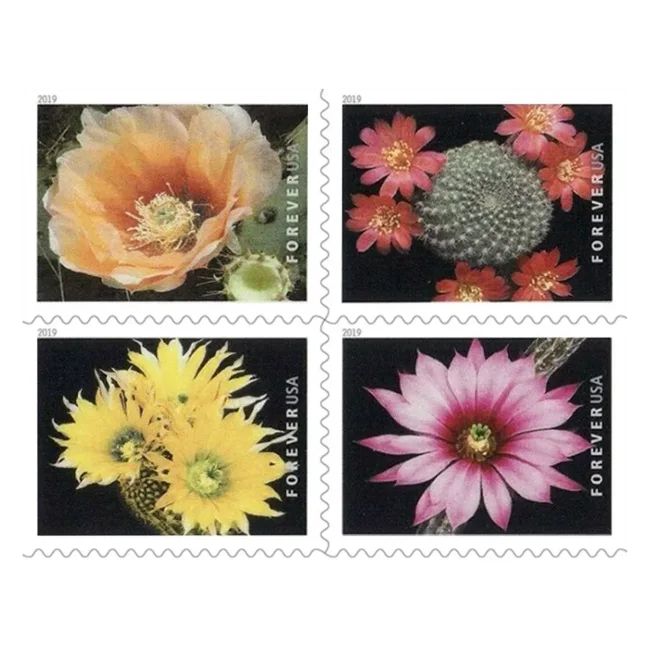 2019 USPS Cactus Flowers Forever First Class Postage Stamps