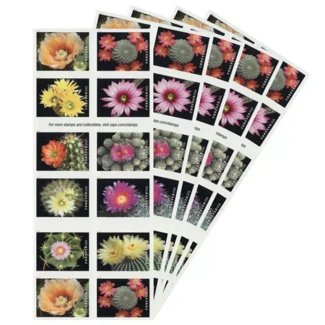 2019 USPS Cactus Flowers Forever First Class Postage Stamps