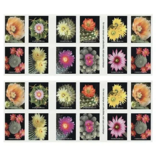 2019 USPS Cactus Flowers Forever First Class Postage Stamps