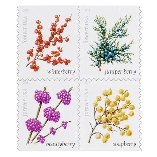 2019 USPS Winter Berries First Class Forever Postage Stamps