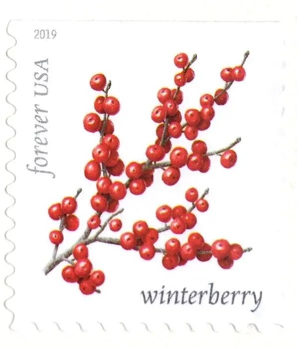 2019 USPS Winter Berries First Class Forever Postage Stamps