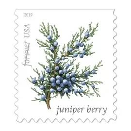 2019 USPS Winter Berries First Class Forever Postage Stamps
