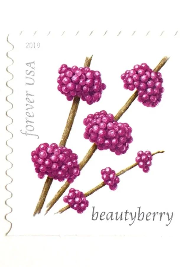2019 USPS Winter Berries First Class Forever Postage Stamps