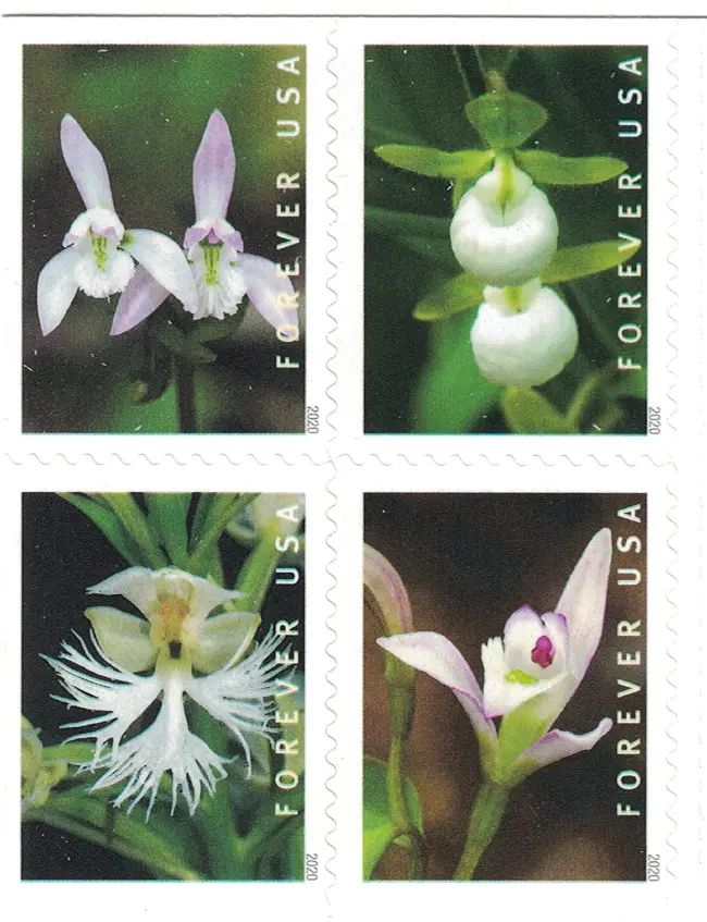 2020 USPS Wild Orchids Forever Postage Stamps