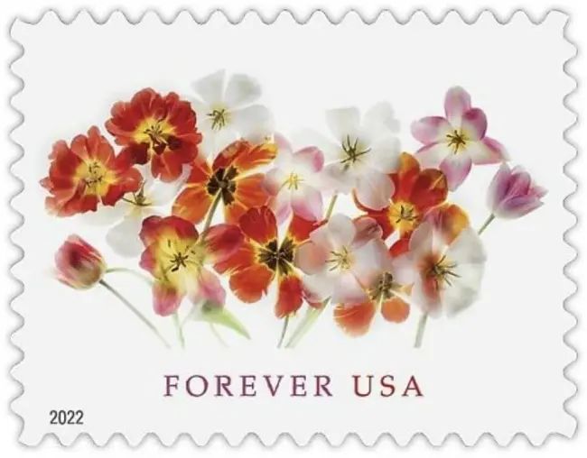 2022 USPS Tulips Forever First Class Postage Stamps