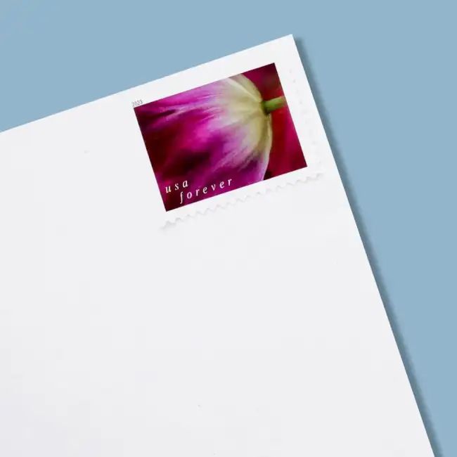 2023 US Tulip Blossoms First-Class Forever Stamps