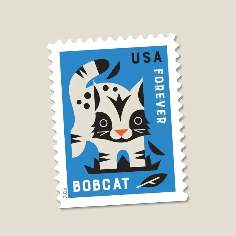 2025 Baby Wild Animals Stamps Booklet of 20