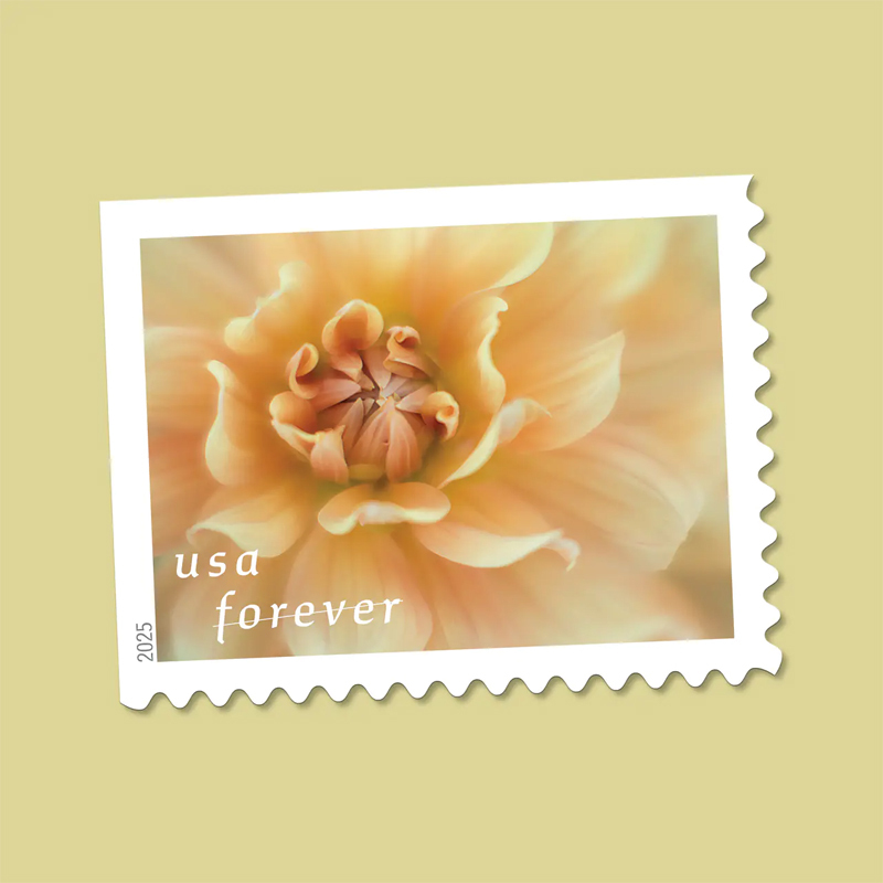 2025 Dahlias Stamps