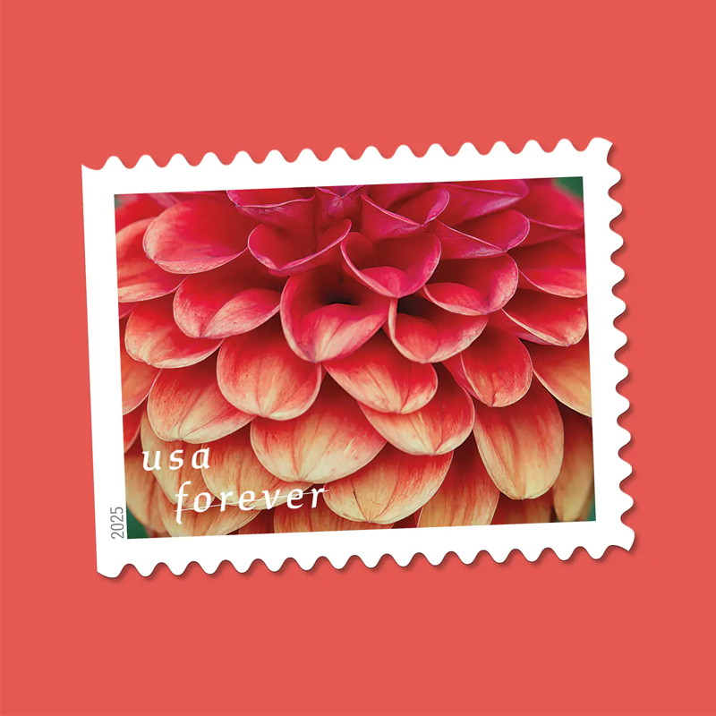 2025 Dahlias Stamps