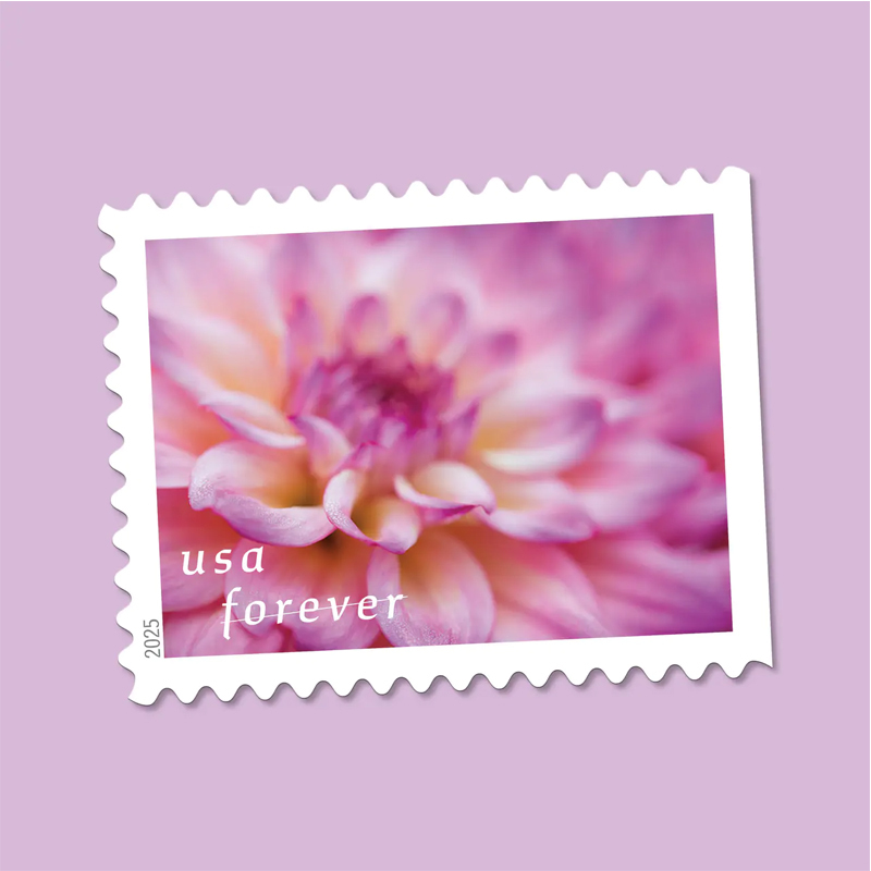 2025 Dahlias Stamps