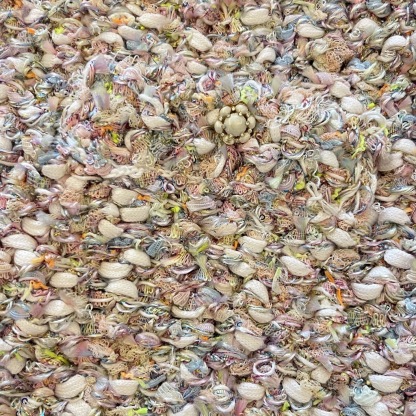 CC 25SS Half skirt woven with rhinestones