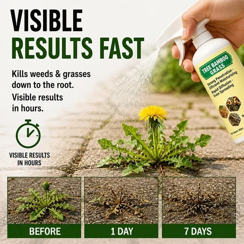 Visible results in 7 days