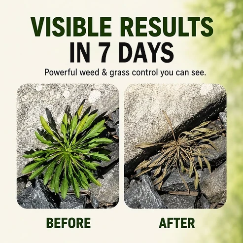 All rounder yard care