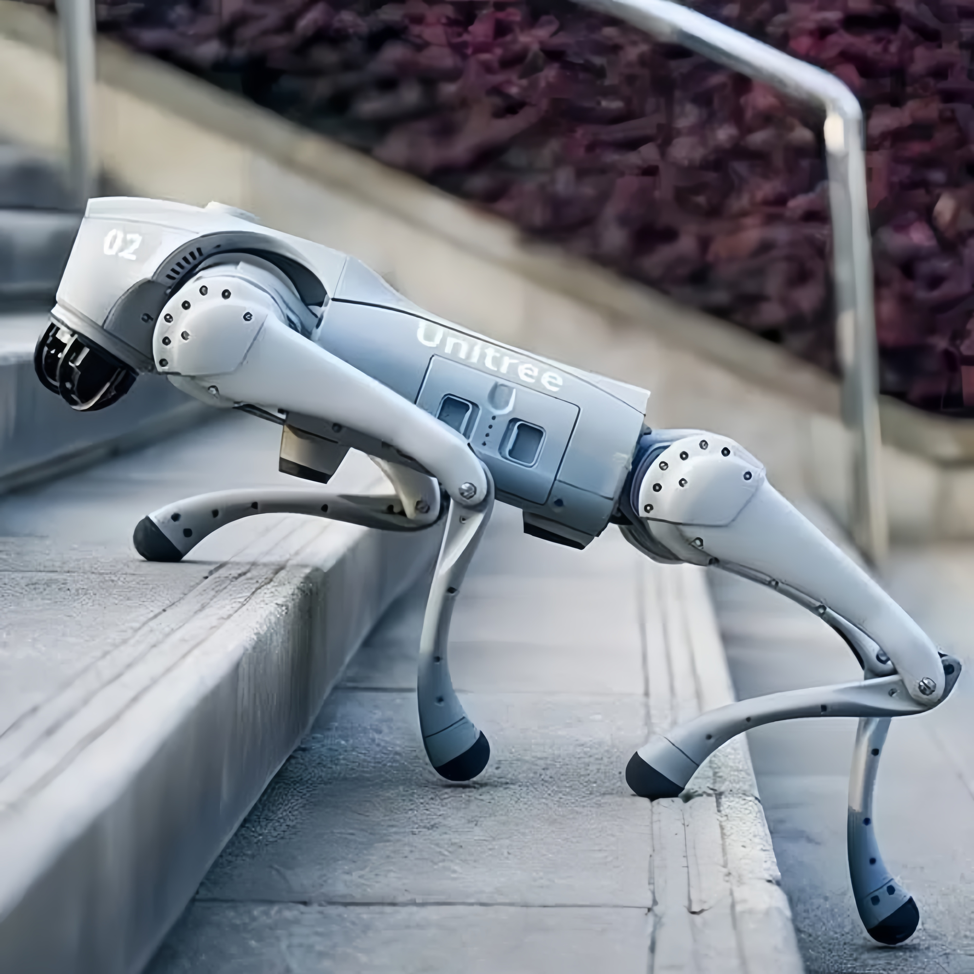 Robot Dog Quadruped Robotics for Adults Embodied AI Homedog Go2 Air, Go2 Pro, Go2 X