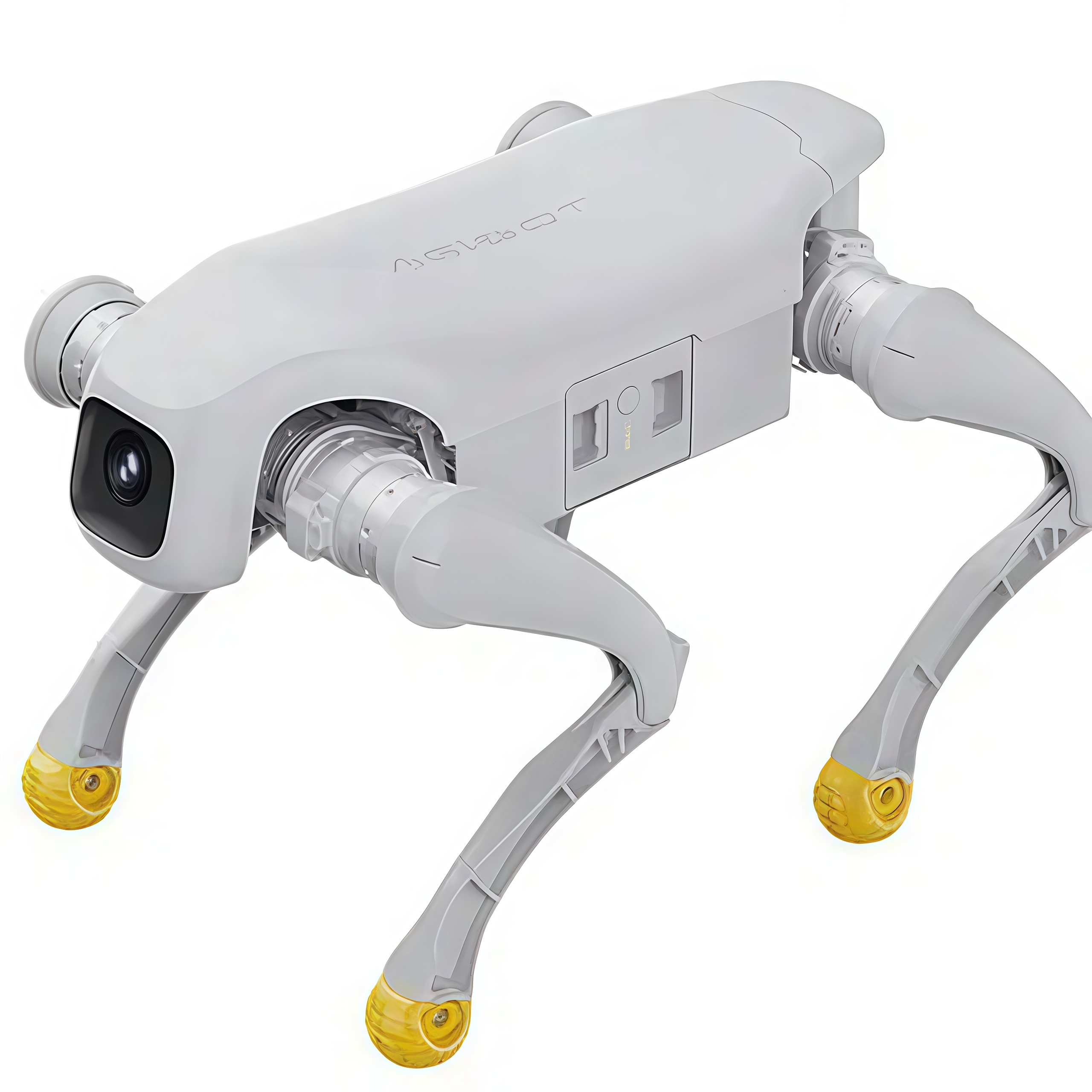 AI Robot Smart Companion Robotics with Voice Control Home Assistant App Enabled Interactive Robots