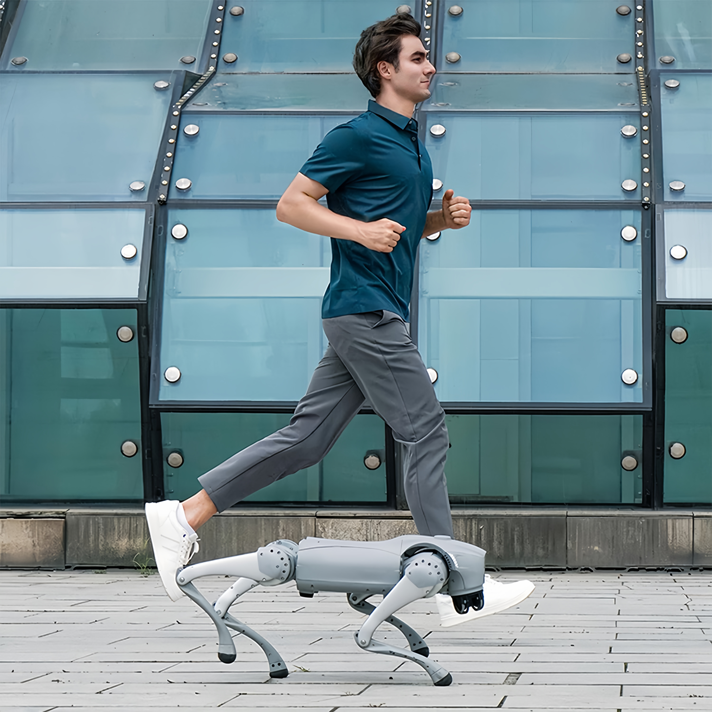 Go2 Pro with Controller Robot Dog Quadruped Robotics for Adults Embodied AI Homedog