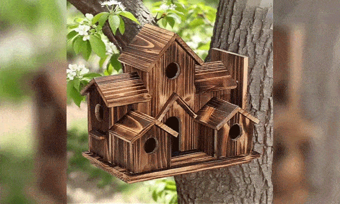 The latest handcrafted nest boxes — bringing birdsong back to your garden