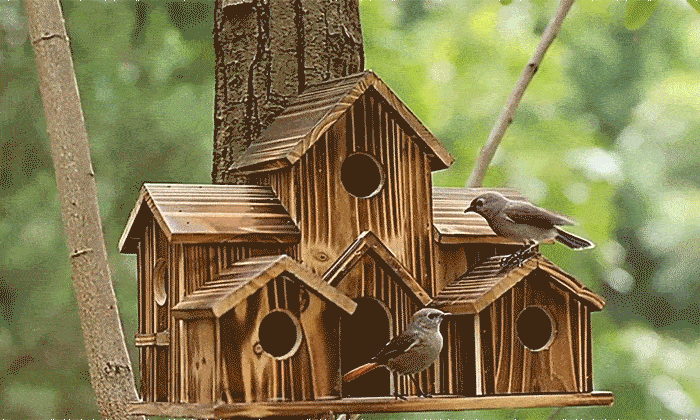 The latest handcrafted nest boxes — bringing birdsong back to your garden