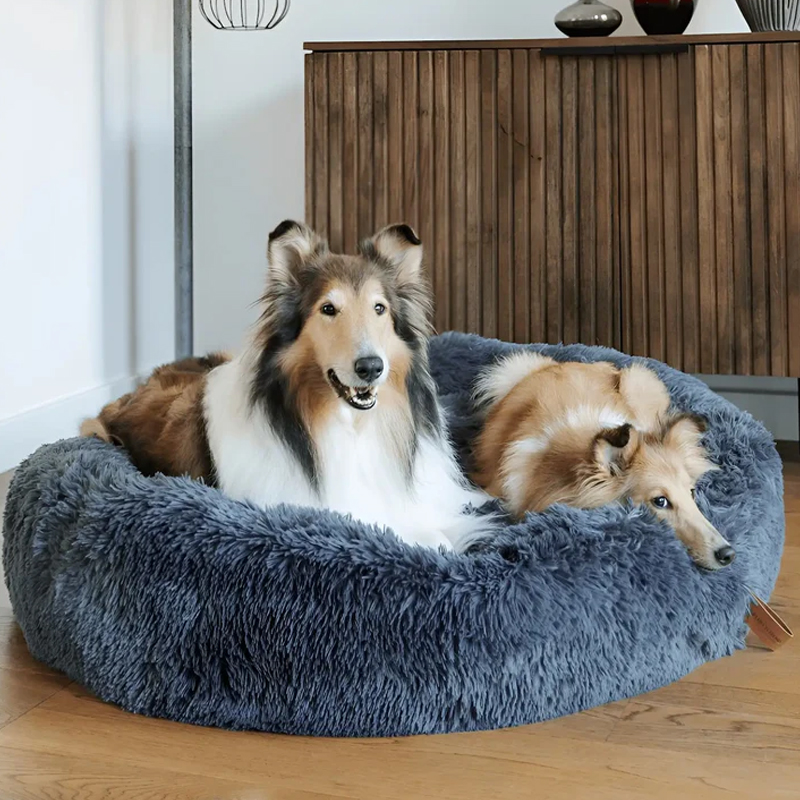 MrFluffyFriend® - Das beste Anti-Angst Hundebett