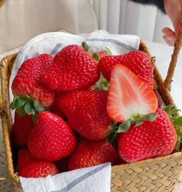 ✨Υπερβολικά κερδοφόρο! 💰--🍓Σπόροι φράουλας για καλλιέργεια όλο το χρόνο 🌱