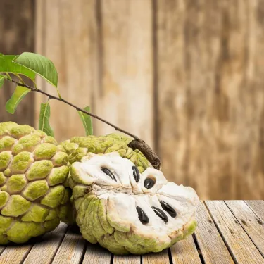 🌱Εξωτικοί Σπόροι Ανανόνα – Γλυκός, Ζουμερός Καρπός & Εύκολη Καλλιέργεια