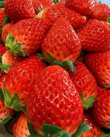✨ Изключително доходоносно! 💰 -- 🍓 Семена от ягоди за целогодишно отглеждане 🌱