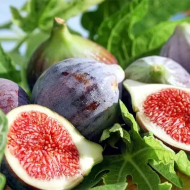 Семена от смокиня от Гърция – сладък вкус и издръжливост 💜