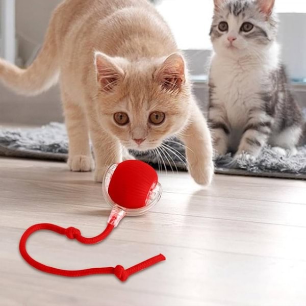 Играчка за домашни любимци, която се движи при докосване | GATOPLAY
