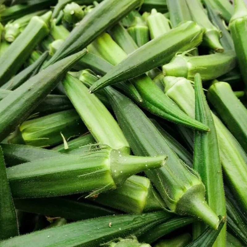 🥬 Bamya – семена за нежна и кремообразна текстура. Високодобивна, подходяща за консерви и традиционни ястия. 🍲